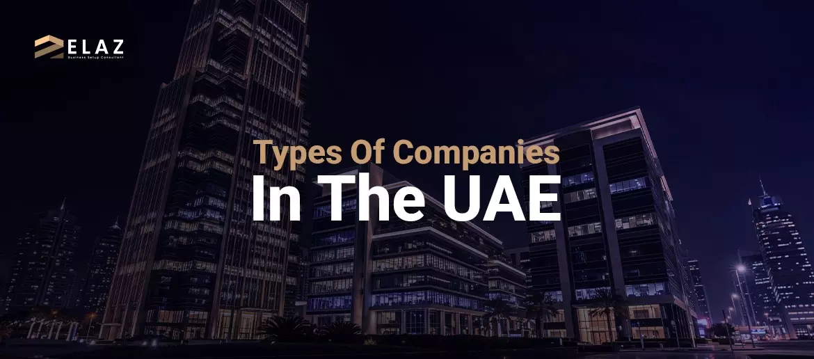 Types of Companies in the UAE